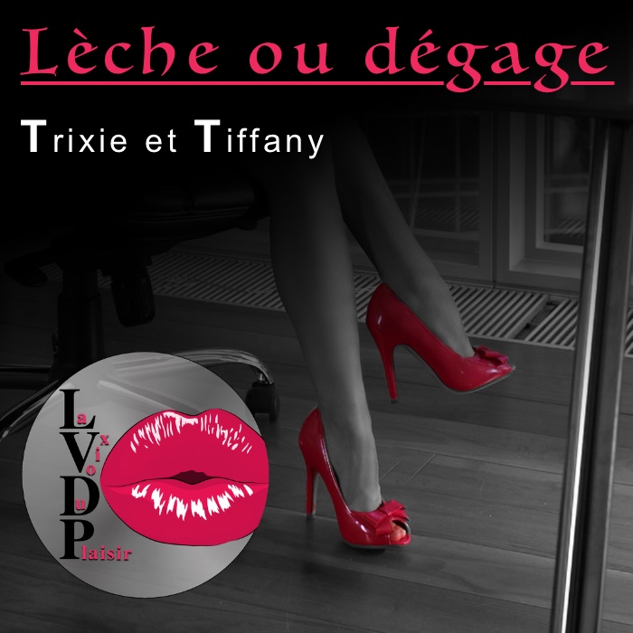 La voix du plaisir une séance de domination lèche ou dégage