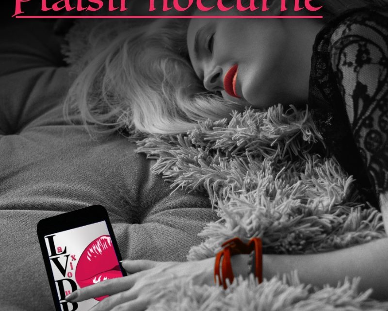 La voix du plaisir séance de plaisir nocturne